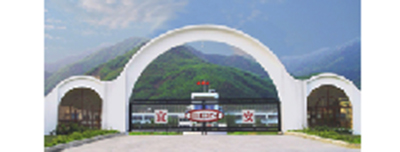 宜安科技股份有限公司